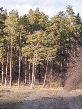 Baharın başındaki manzara