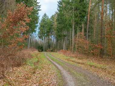 Baharın başındaki manzara