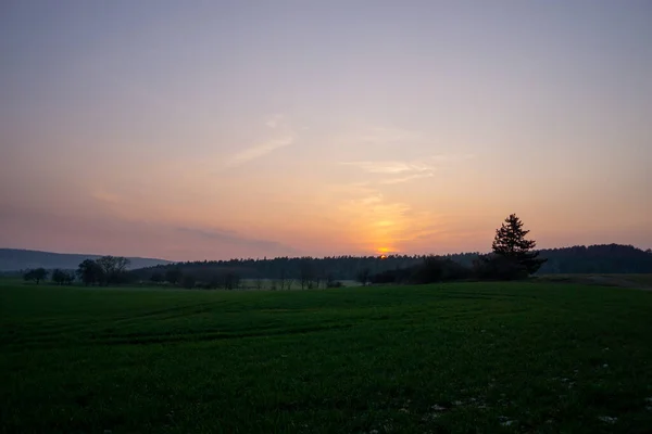 Landschap Het Vroege Voorjaar — Stockfoto