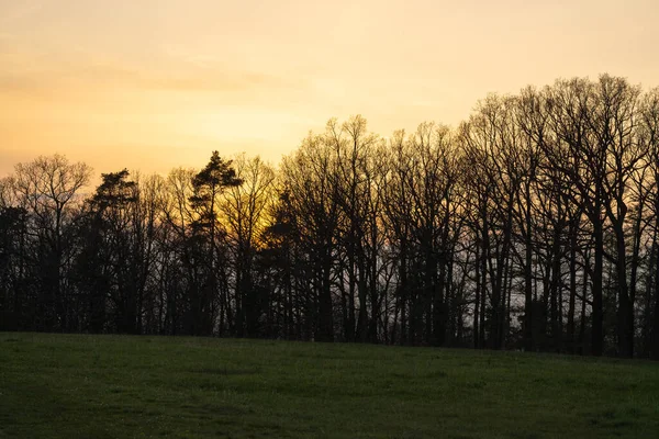 Krajobraz Wczesną Wiosną — Zdjęcie stockowe