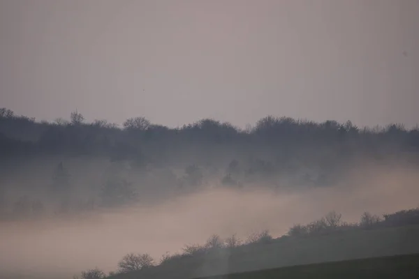 Paisaje Niebla — Foto de Stock
