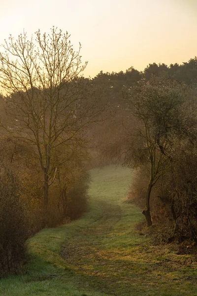 Paisaje Principios Primavera — Foto de Stock