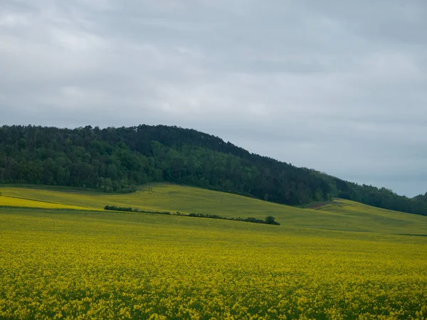 Krajobraz Okresie Letnim — Zdjęcie stockowe