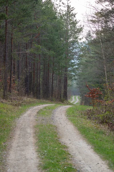 Paysage Heure Été — Photo