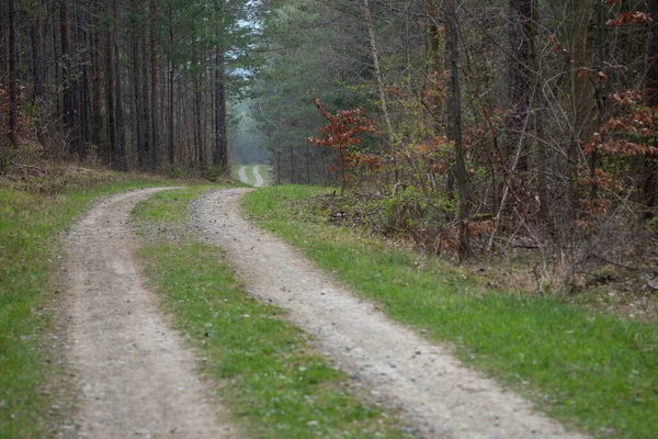 Paysage Heure Été — Photo