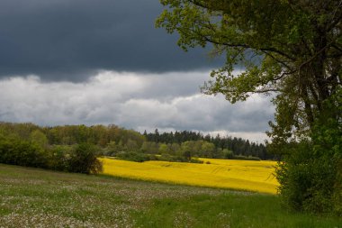 Yaz zamanı manzara.