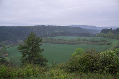Yaz zamanı manzara.