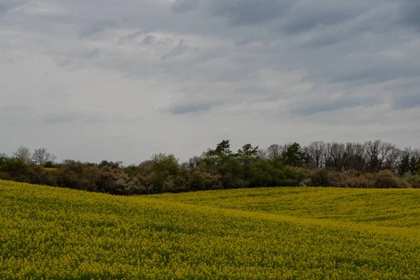 Landschaft Zur Sommerzeit — Stockfoto