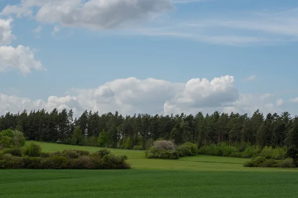 Paysage Heure Été — Photo