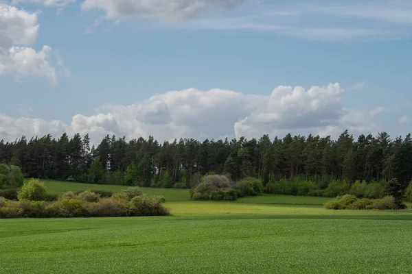 Paisagem Hora Verão — Fotografia de Stock