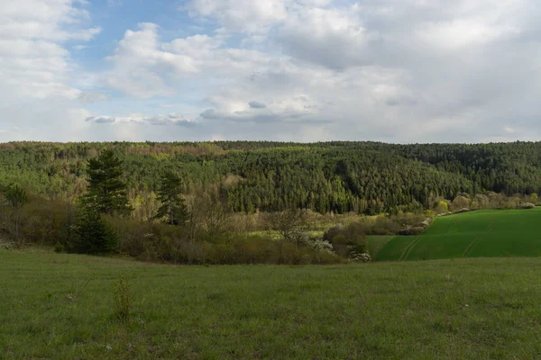 Paesaggio Durante Estate — Foto Stock