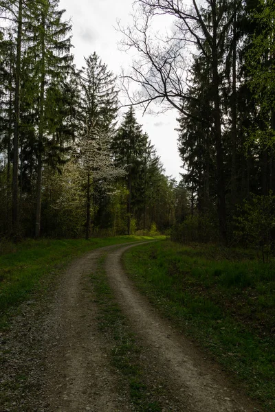 Landschaft Zur Sommerzeit — Stockfoto