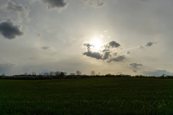 Paysage Heure Été — Photo