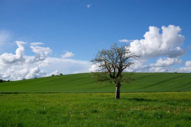 Yaz zamanı manzara.