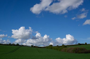Yaz zamanı manzara.