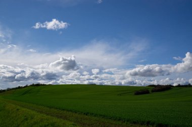 Yaz zamanı manzara.