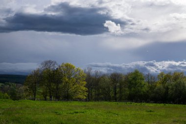 Yaz zamanı manzara.