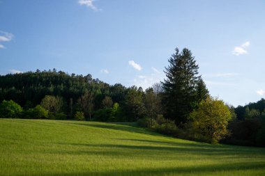 Yaz zamanı manzara.