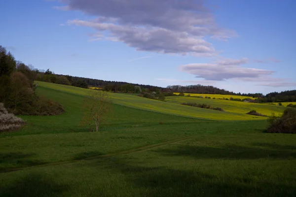 Landschap Zomer — Stockfoto