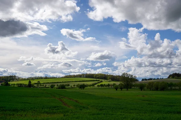 Paesaggio Durante Estate — Foto Stock