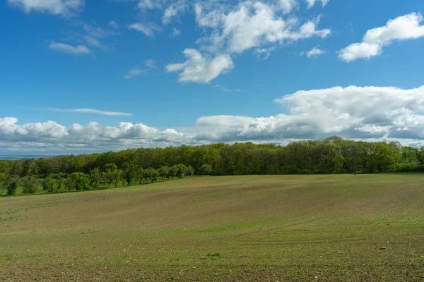 Paesaggio Durante Estate — Foto Stock