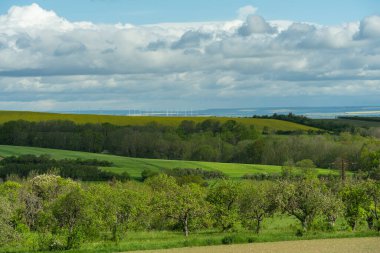 Yaz zamanı manzara.