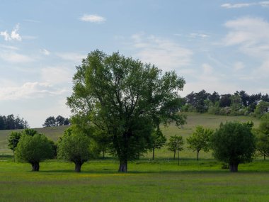 Yaz zamanı manzara.