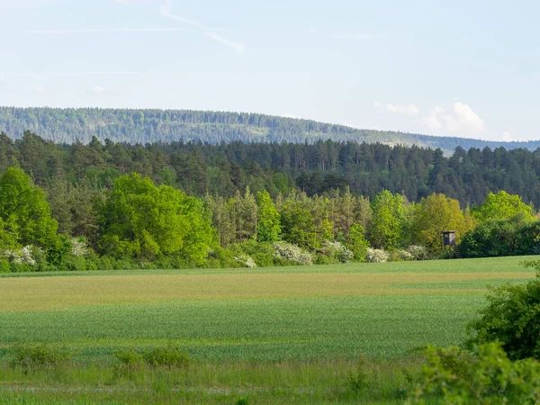 Landschap Zomer — Stockfoto