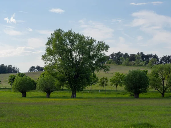 Paysage Heure Été — Photo