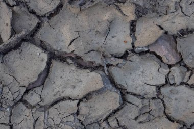 Kuru bir su birikintisi.