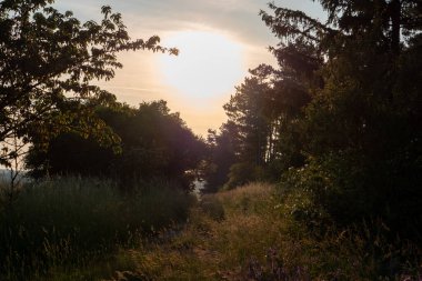 Yaz zamanı manzara.