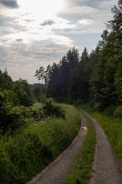 Landschaft Zur Sommerzeit — Stockfoto