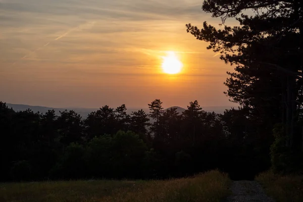 Landschap Zomer — Stockfoto