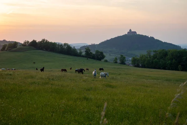 Krajina Wachsenburgem Okolí — Stock fotografie