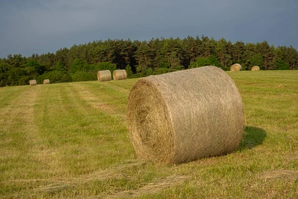 Hay Bales Meadow — Stock Photo, Image