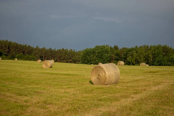 Heuballen Auf Einer Wiese — Stockfoto