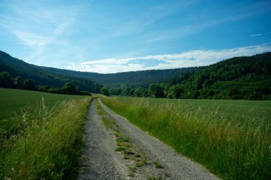 Yaz zamanı manzara.