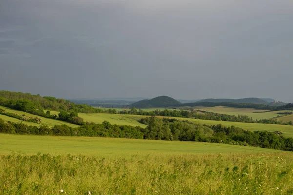 Paesaggio Durante Estate — Foto Stock