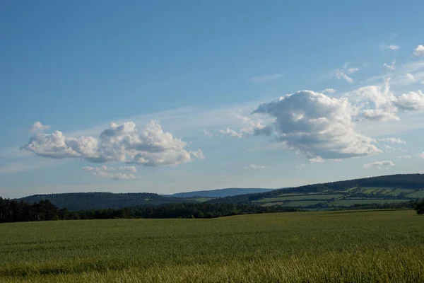 Paisagem Hora Verão — Fotografia de Stock