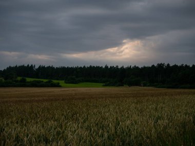 Yaz zamanı manzara.
