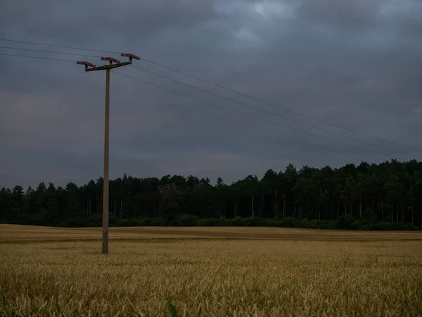 Linee Elettriche Attraversano Campo Grano — Foto Stock