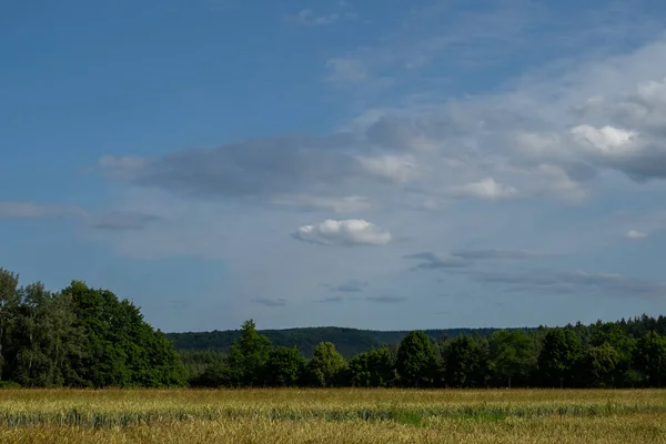 夏の風景 — ストック写真