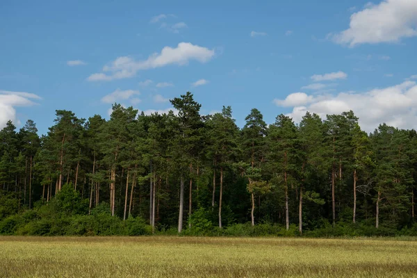 Landschaft Zur Sommerzeit — Stockfoto