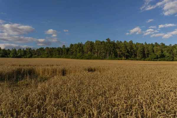 Yaz zamanı manzara.