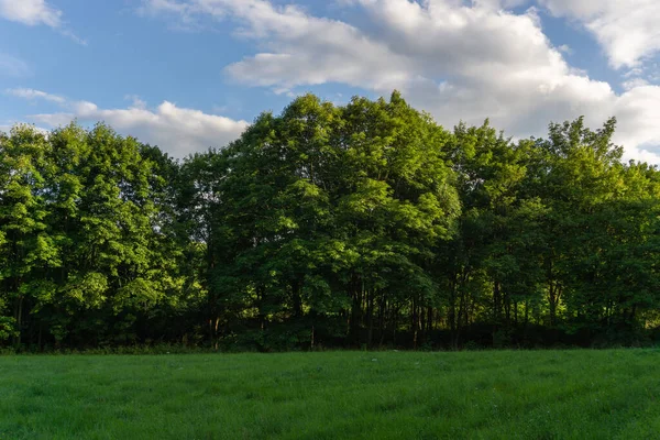 Paisaje Hora Verano — Foto de Stock