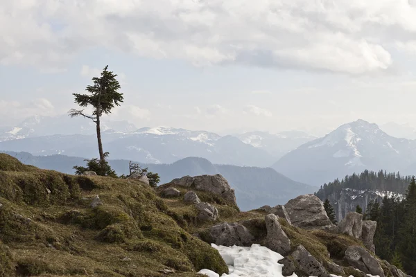 Bayerska Alperna — Stockfoto