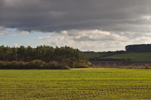 Landscape — Stock Photo, Image