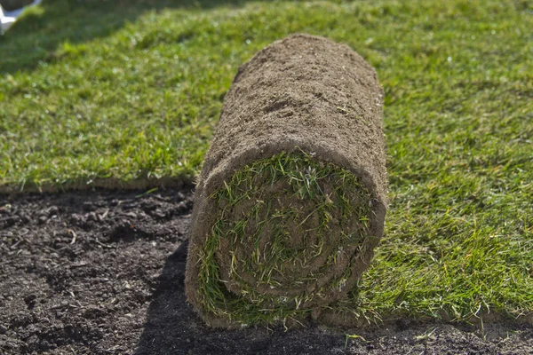 Rollende gazon — Stockfoto