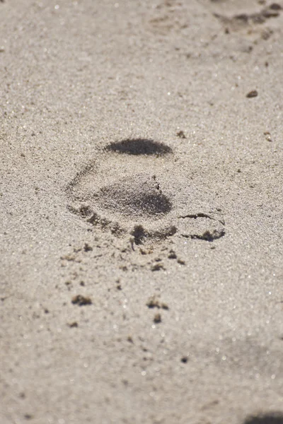 모래 해변에 발자국 — 스톡 사진