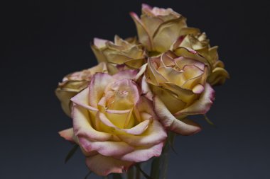 Bir vazoda taze gül